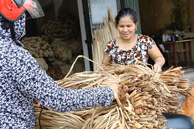 Từ khi có nghề đan bèo tây xuất khẩu, nhiều việc làm liên quan đến loại cây này ở Kim Sơn cũng phát triển như nghề vớt bèo tây phơi khô để bán, nghề thu mua thân bèo khô, nghề đan bèo tây... Từ cây bèo tây, nhiều nông dân địa phương có thêm thu nhập, giải quyết được việc làm lúc nông nhàn.