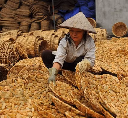 Kỹ thuật đan lục bình đơn giản hơn dệt chiếu, gồm các kiểu cơ bản như: đan hạt gạo, đan xương cá và đan mạng nhện. Tùy sản phẩm mà sử dụng kiểu đan khác nhau. Ví dụ kiểu xương cá thường được sử dụng đan thảm, còn đan kệ để báo, tạp chí thì sử dụng kiểu hạt gạo.