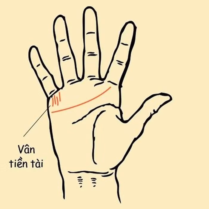 Cach xem duong chi tay, biet ai so phu quy, ai ca doi chat vat-Hinh-2