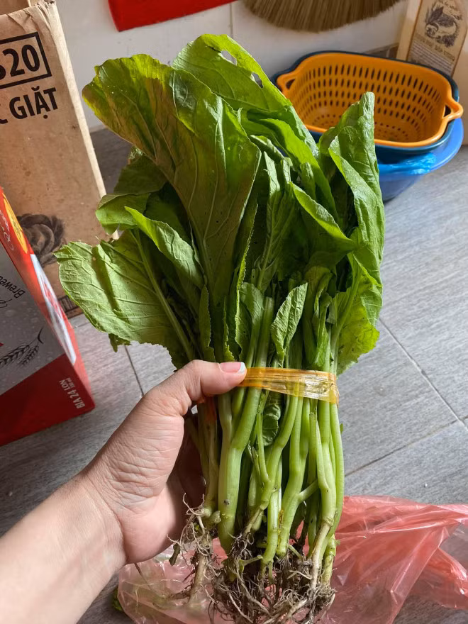 Tieu thuong choang vang voi gia rau cai mo 50.000 dong/kg-Hinh-2