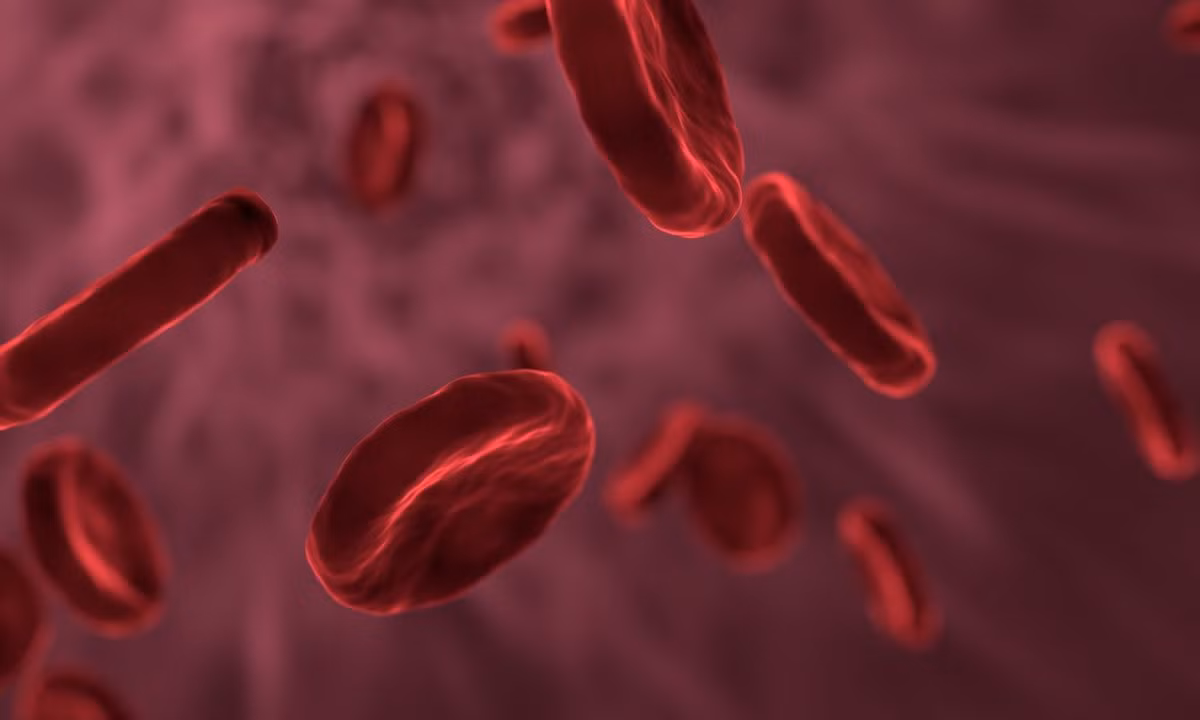 Giai ma mau cua nhom nguoi 40.000 nam truoc