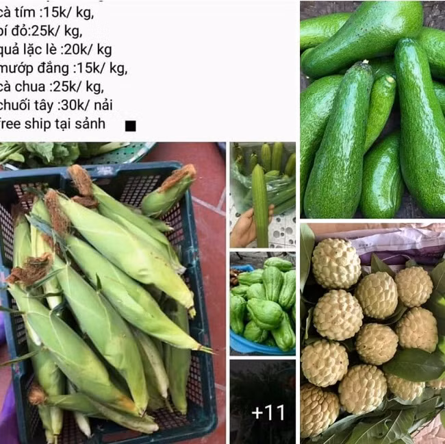Day la nhung cong viec lam o nha giup kiem tien deu tay mua dich-Hinh-3