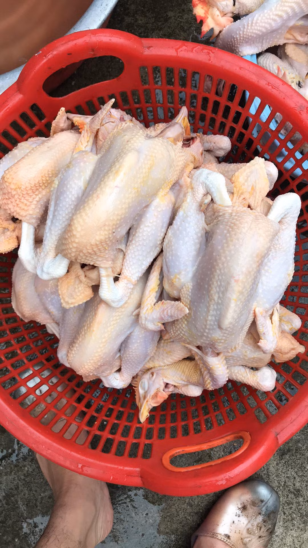 Cho mang nhon nhip mua ban khi gia ga ri bat ngo giam manh-Hinh-2