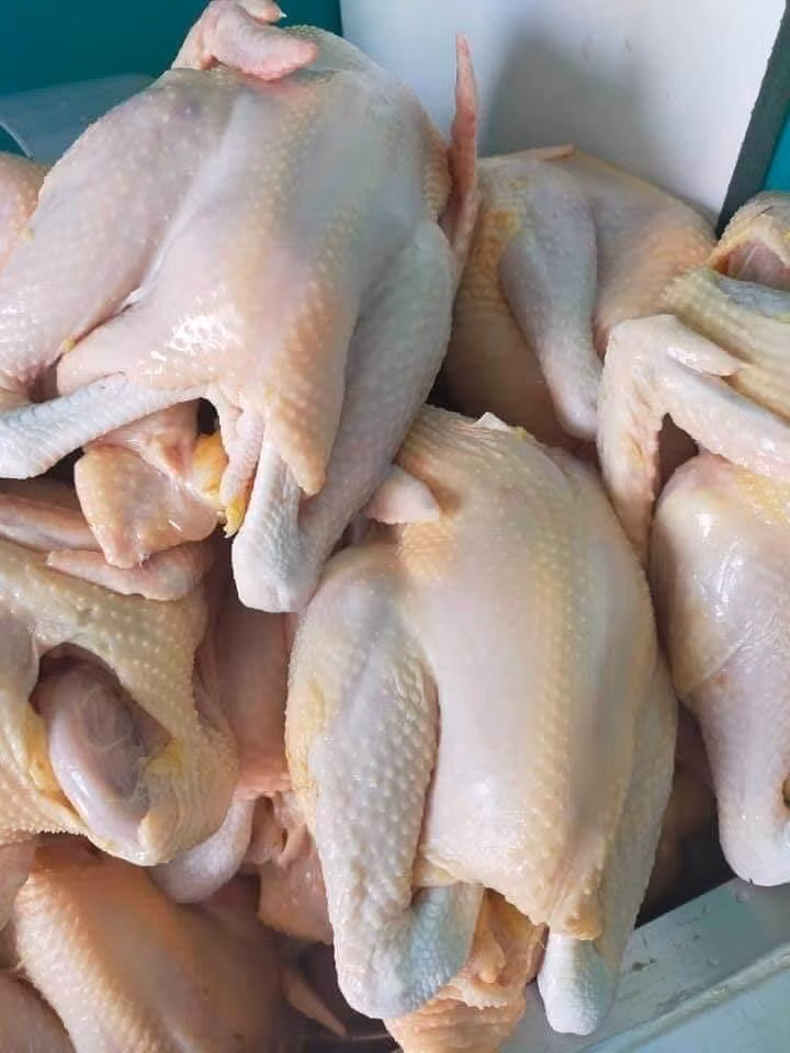 Chợ mạng nhộn nhịp mua bán khi giá gà ri bất ngờ giảm mạnh - Hình 3 Cho mang nhon nhip mua ban khi gia ga ri bat ngo giam manh-Hinh-3