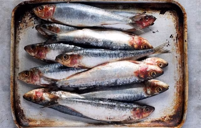 8 loại cá giàu omega-3 bậc nhất, tốt cho trí não, càng ăn càng thông minh ảnh 4 8 loại cá giàu omega-3 bậc nhất, tốt cho trí não, càng ăn càng thông minh ảnh 4