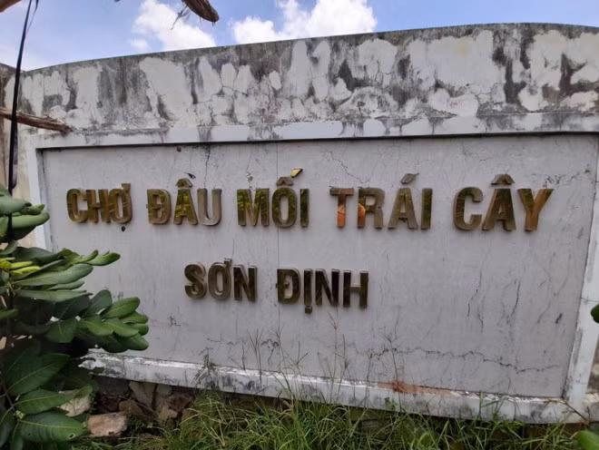 Cho dau moi hoanh trang bo hoang, ton 3 trieu/thang canh giu-Hinh-2