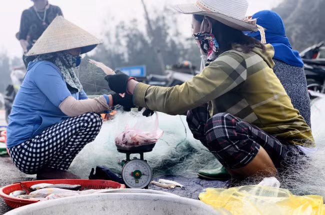 Cá cháo được thương lái thu mua ngay tại bến với giá từ 70.000 - 120.000 đồng/kg tùy loại.