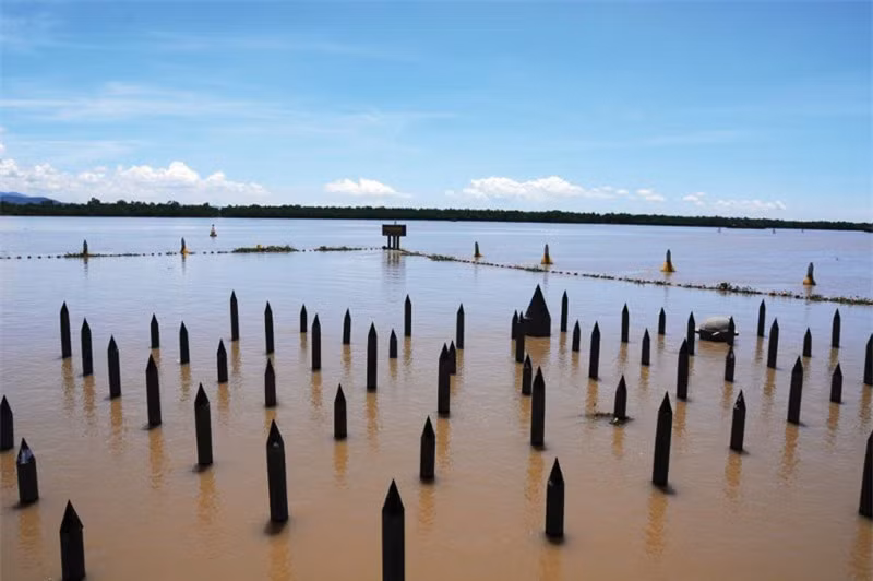  Điểm đầu của sông Bạch Đằng là phà Rừng (ranh giới Hải Phòng và Quảng Ninh). Ảnh: Baocamau. 