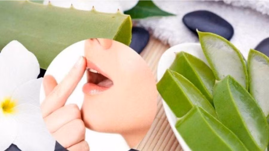 Để có đôi môi căng mọng, hãy áp dụng tuyệt chiêu chăm sóc này - Hình 4 De co doi moi cang mong, hay ap dung tuyet chieu cham soc nay-Hinh-4