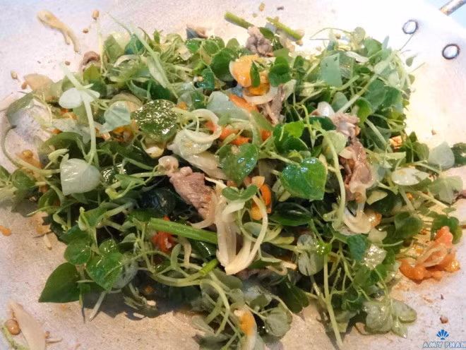 Loai rau mot thoi duoc trong de cuu doi gio ra Ha Noi thanh dac san-Hinh-3