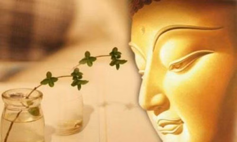 Phat day 3 canh gioi lon ma con nguoi hieu duoc se tho ich ca doi-Hinh-2