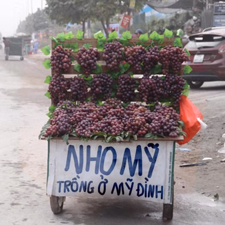 Nhung man 