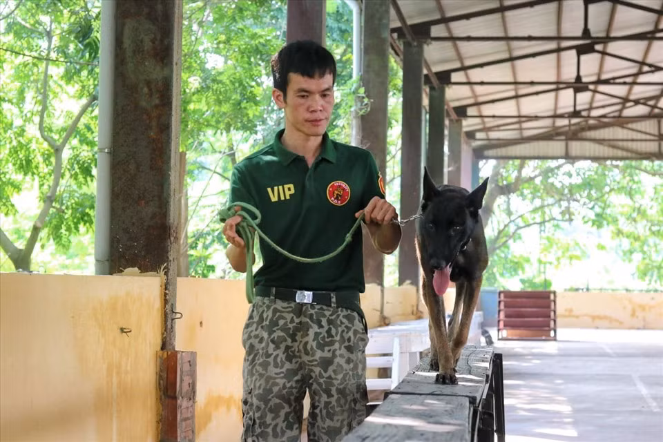 Dich vu huan luyen cho nghiep vu dat khach o Ha Noi-Hinh-2