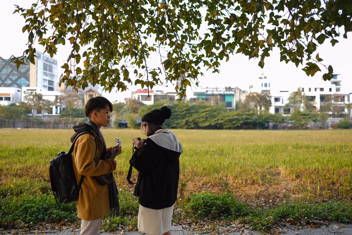 Sát với hàng phong là bãi đất trống mọc cỏ lau trắng cũng thu hút các bạn trẻ tới chụp ảnh.