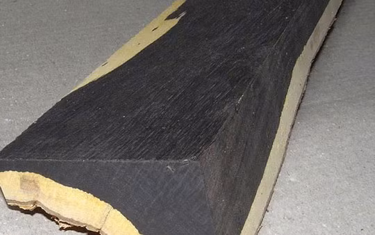 3. African Black Wood - Gỗ đen Châu Phi. Loại gỗ này vô cùng quý hiếm, đang có nguy cơ tuyệt chủng vì cây African Black Wood bị khai thác quá nhiều. Gỗ này thường được dùng để làm các loại nhạc cụ đặc biệt là ghi-ta.