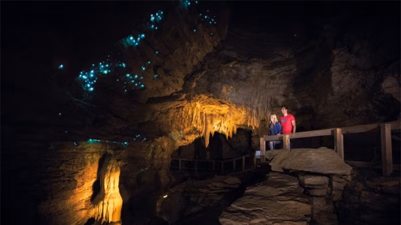  Khu du lịch mở cửa vào 9 giờ sáng hàng ngày trong năm, các tour vào hang động cách nhau 30 phút. Thời gian của mỗi tour tham quan là 45 phút, du khách phải đăng kí tour trước khoảng 30 phút. 