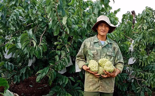 100.000 dong mot qua mang cau hoang hau Thai Lan khong lo