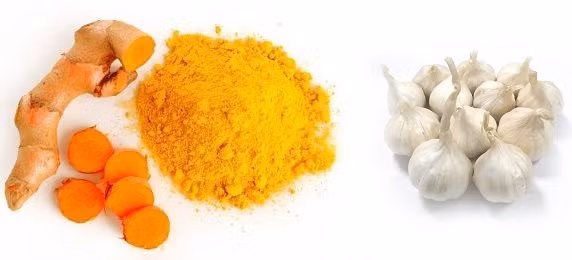 7 loại thực phẩm lọc sạch độc tố trong gan, mát gan tiêu độc - Hình 2 7 loai thuc pham loc sach doc to trong gan, mat gan tieu doc-Hinh-2