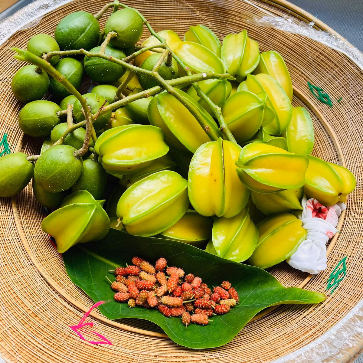 Nha pho voi gian cay thang dung, hoa trai quanh nam ruc ro-Hinh-13