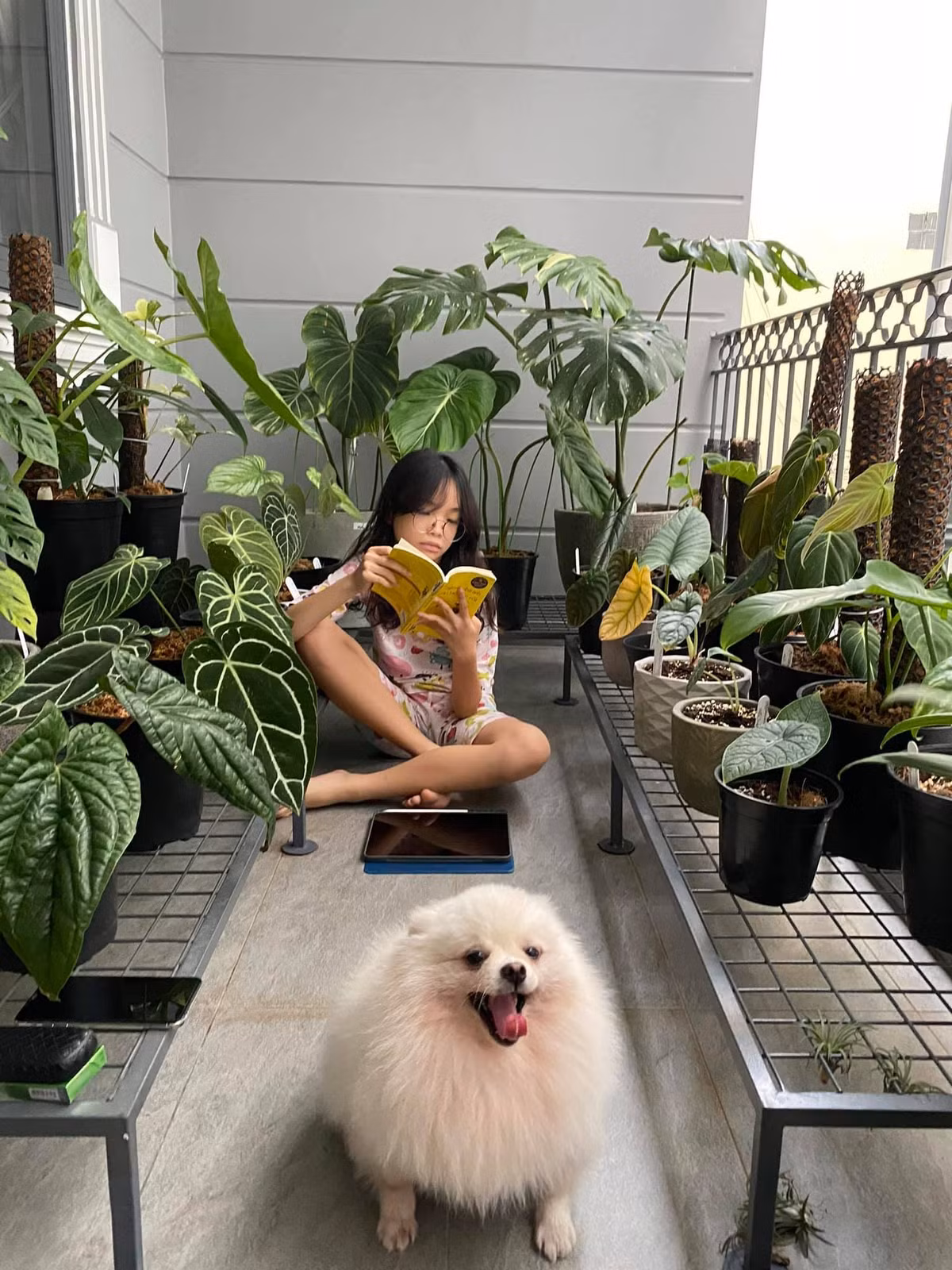 Nha pho voi gian cay thang dung, hoa trai quanh nam ruc ro-Hinh-10