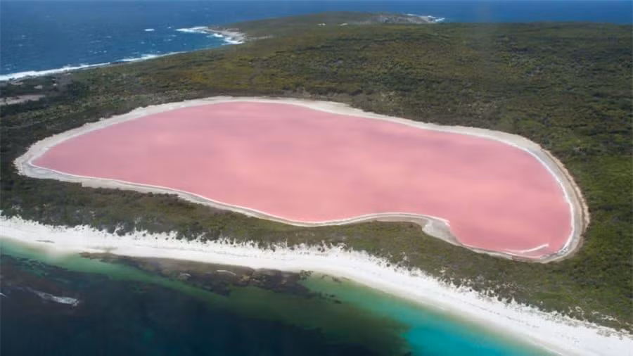 6.Hồ Hillier, Australia:Chỉ cách bờ cát của bãi biểnMiddle Island tại quần đảo Recherche vài mét, nhưng màu hồng kỳ lạ ở hồ Hillier khác xa với màu nước trong xanh của đại dương. Nguyên nhân là vì loại tảo dunaliella salina đặc biệt sinh trưởng bên trong hồ, chúng tạo nên các sắc tố biến nước mặn trở thành màu hồng khác xa với tự nhiên.