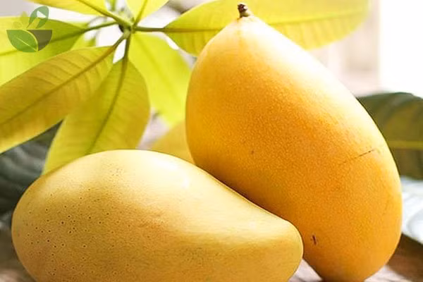 Những loại quả mùa hè rất ngon miệng nhưng càng ăn càng béo - Hình 4 Nhung loai qua mua he rat ngon mieng nhung cang an cang beo-Hinh-4