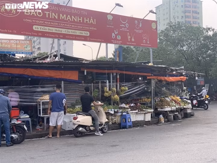 Ngoài dứa thì giá cam sành cũng đang tăng nhanh.