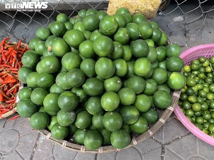 Giá chanh cũng nhích từ 22.000 đồng/kg lên 25.000 đồng/kg. Nếu mua lẻ, người mua có thể phải trả giá cao hơn.