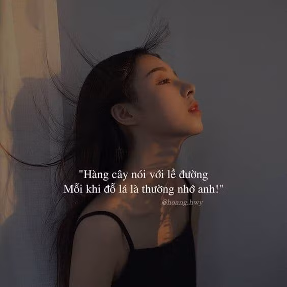 Hay luu ve hon 300 cau 
