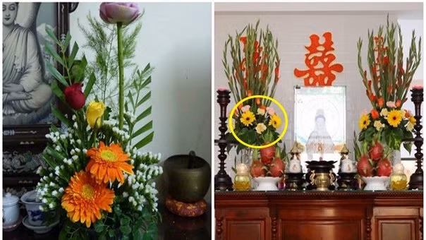 Ngày Tết chưng 7 loại hoa này trong nhà: Thần Tài ghé thăm Ngay Tet chung 7 loai hoa nay trong nha: Than Tai ghe tham
