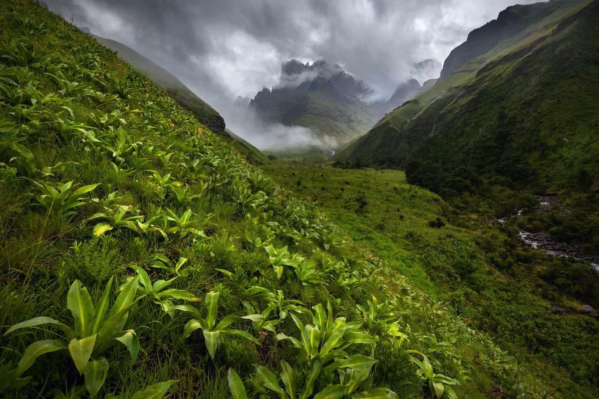 Nhiếp ảnh gia Carl Smorenburg là người đã chụp tác phẩm ấn tượng này tại Công viên Ukhahlamba-Drakensberg ở Nam Phi. Đây là một phần trong bộ ảnh The Drakensberg của anh và đem về giải nhì hạng mục Dự án ảnh.