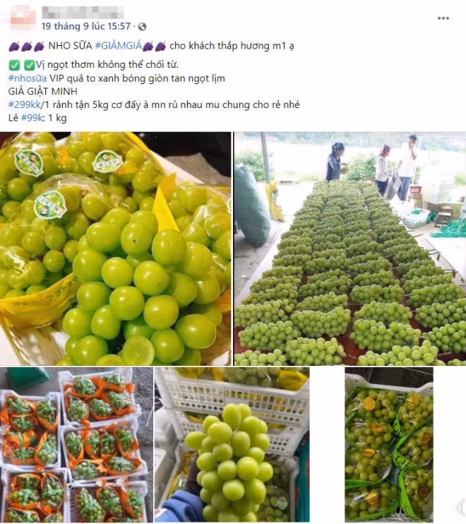 Nho sua Trung Quoc dang vao mua, gia nhap ve re thu hut nguoi mua-Hinh-5