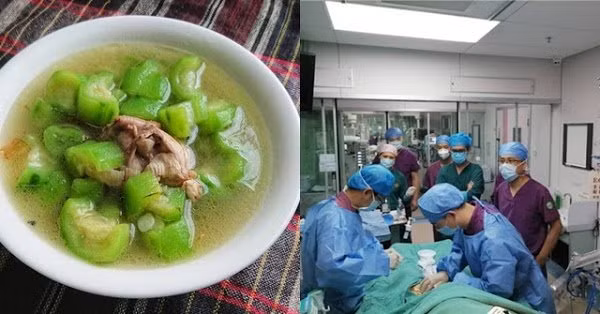 Bạn có dấu hiệu này chứng tỏ mướp ăn vào chỉ có gây hại - Hình 2 Ban co dau hieu nay chung to muop an vao chi co gay hai-Hinh-2