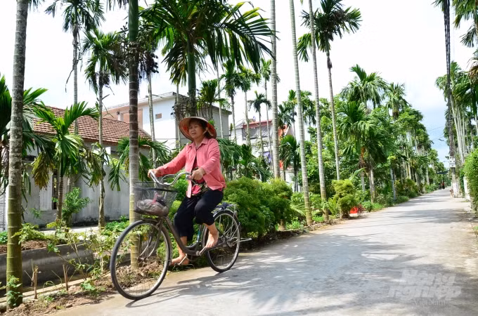 Loai cay o Viet Nam an mot nam muoi, tra mot phan vang-Hinh-2