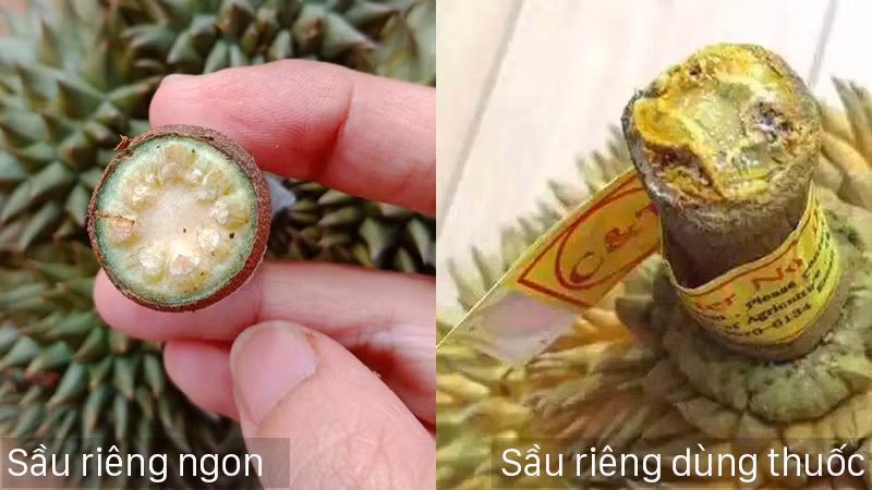 Sau rieng dang vao mua, day la cach chon sau chuan ngon, khong bi suong-Hinh-2
