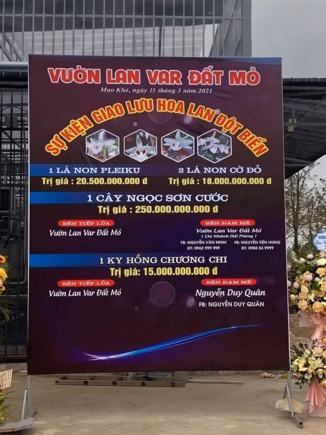 Ven man cuoc chuyen nhuong lan var Ngoc Son Cuoc 250 ty dong