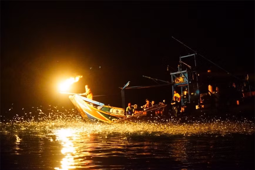 Độc đáo nghề đánh cá bằng lửa ảnh 5 Độc đáo nghề đánh cá bằng lửa ảnh 5