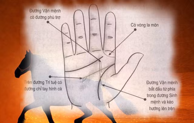 Cam ban tay vo, nhin diem nay biet ngay co ay co menh quy nhan-Hinh-2
