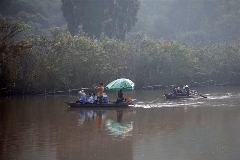 Để ngắm hoa súng, du khách nên đến suối Yến từ sáng sớm.