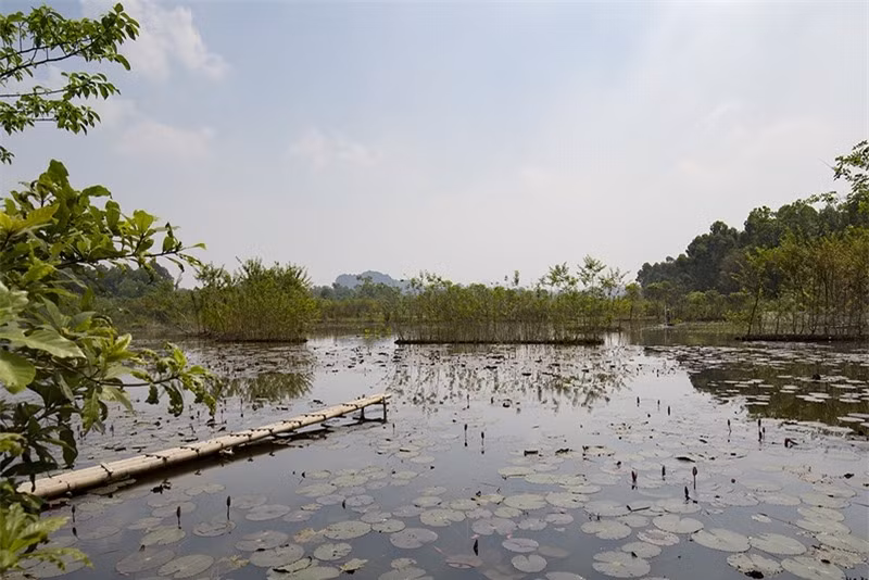  Sự yên tĩnh, bình lặng của suối Yến vào độ giữa trưa gây thương nhớ cho biết bao du khách. 