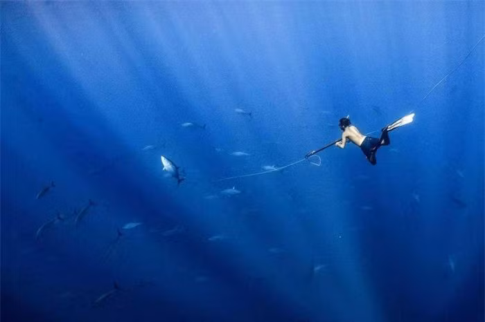 Vị trí thứ 3 trong hạng mục Đại dương, Cuộc sống và Sinh kế được trao cho tác phẩm của nhiếp ảnh gia Henley Spiers người Anh. Bức ảnh chụp lại cảnh một người thợ săn cá ngừ vây vàng với khẩu súng trên tay, ngoài khơi bờ biển Costa Rica. 