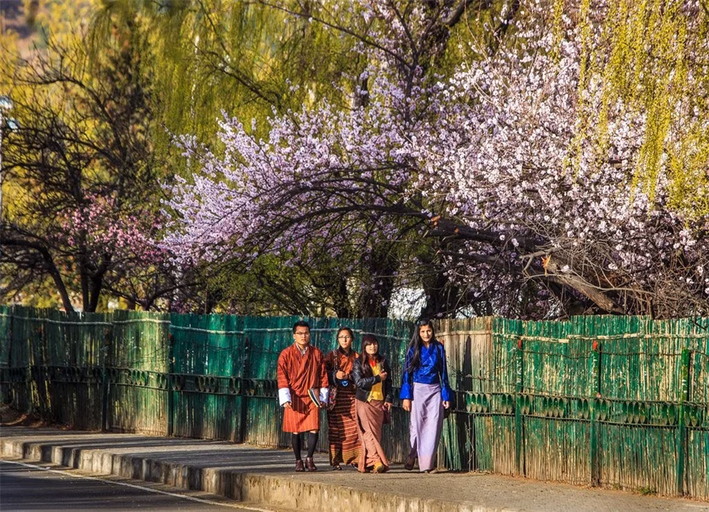 br/> Làng Radi ở đông bắc Bhutan được mệnh danh là thảm vàng hay vựa lúa, bởi cấu trúc bậc thang uốn lượn bao quanh ngôi làng.