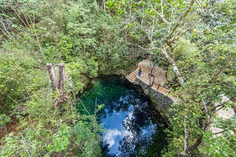 El Zapote là một hố sụt sâu 50 m ngập nước tại Quintana Roo, Mexico. Đây là điểm tham quan, bơi lặn hút khách. Ảnh: Inspiredtodive.