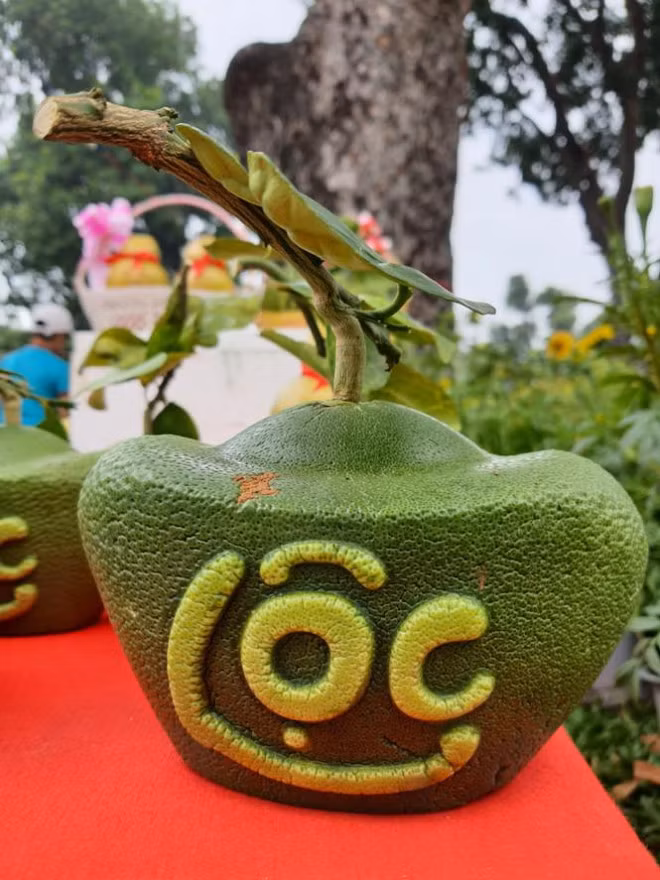 Dừa hồ lô độc đáo tiền triệu thu hút khách chơi Tết - Hình 4 Dua ho lo doc dao tien trieu thu hut khach choi Tet-Hinh-4