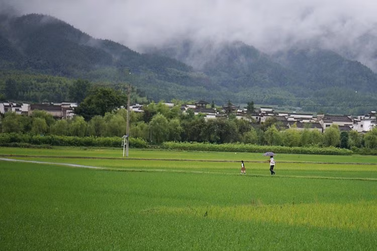 Bo viec luong cao, co gai tre ve que kiem tien ty deu tay-Hinh-6