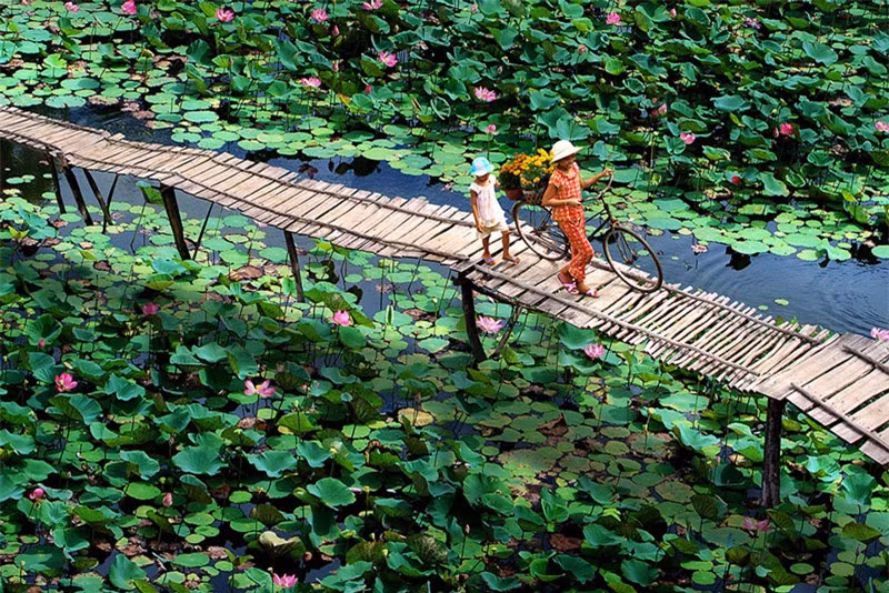 Ảnh: Trần Thị Kiều Anh.