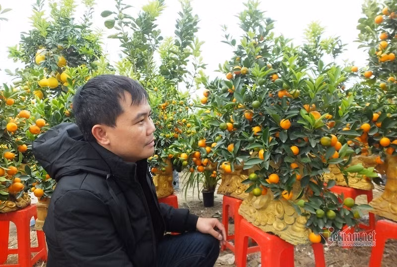 Dan tinh do xo di mua quat than tai gia 1,5 trieu dong-Hinh-3
