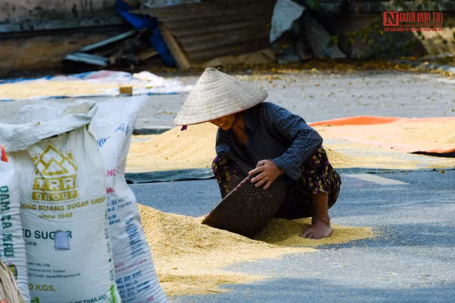 br/> Đoạn đường phơi thóc tại mặt tiền khu shophouse dài hàng trăm mét nhìn từ trên cao.
