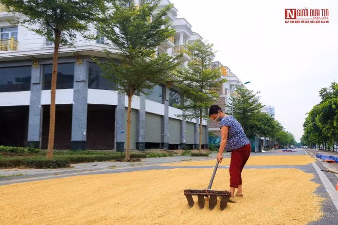 br/> Theo đó, từ sớm khi mặt trời hửng nắng người dân bắt đầu mang thóc ra phơi.