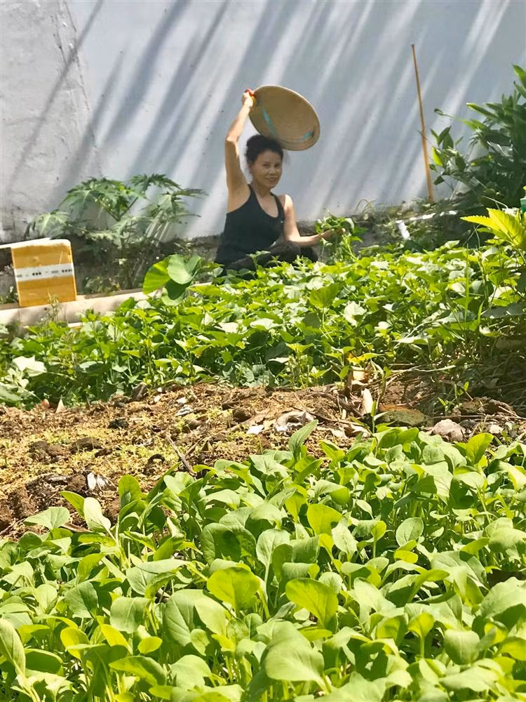 Bo me Ho Ngoc Ha lam nong dan du giau nut do do vach-Hinh-6